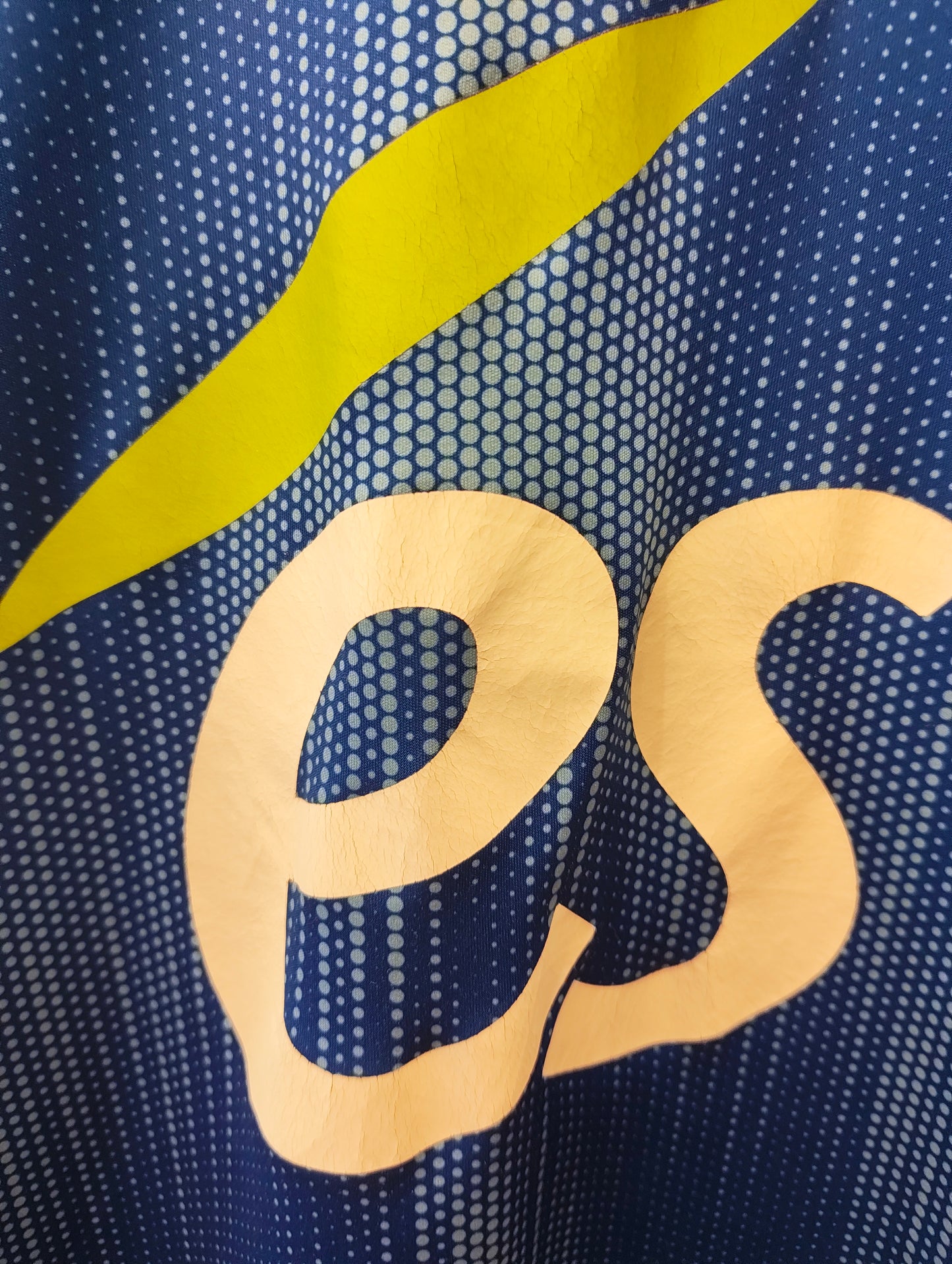 RC Strasbourg 2019-2020 (M)