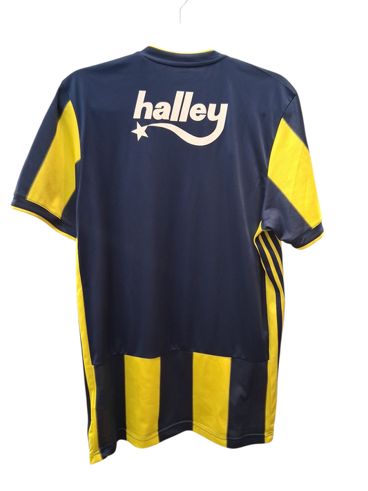 Fenerbahce 2013-2014 (L)