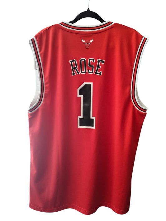 Chicago Bulls (L/XL)