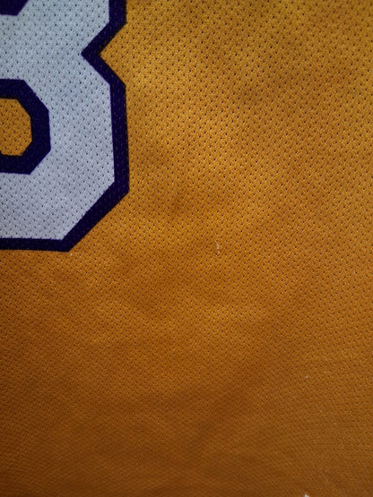 Los Angeles Lakers (M)