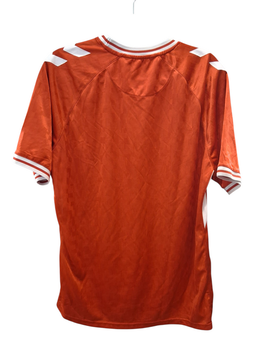 Maillot Danemark 2024-2025 (M)