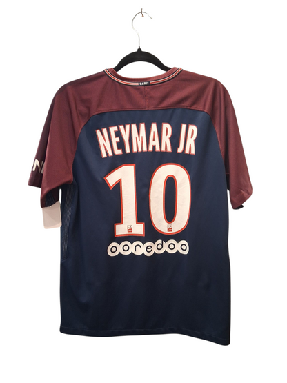 PSG 2017-2018 (M)