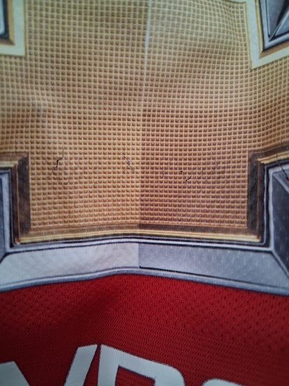 Manchester United  2015-2016 (L)