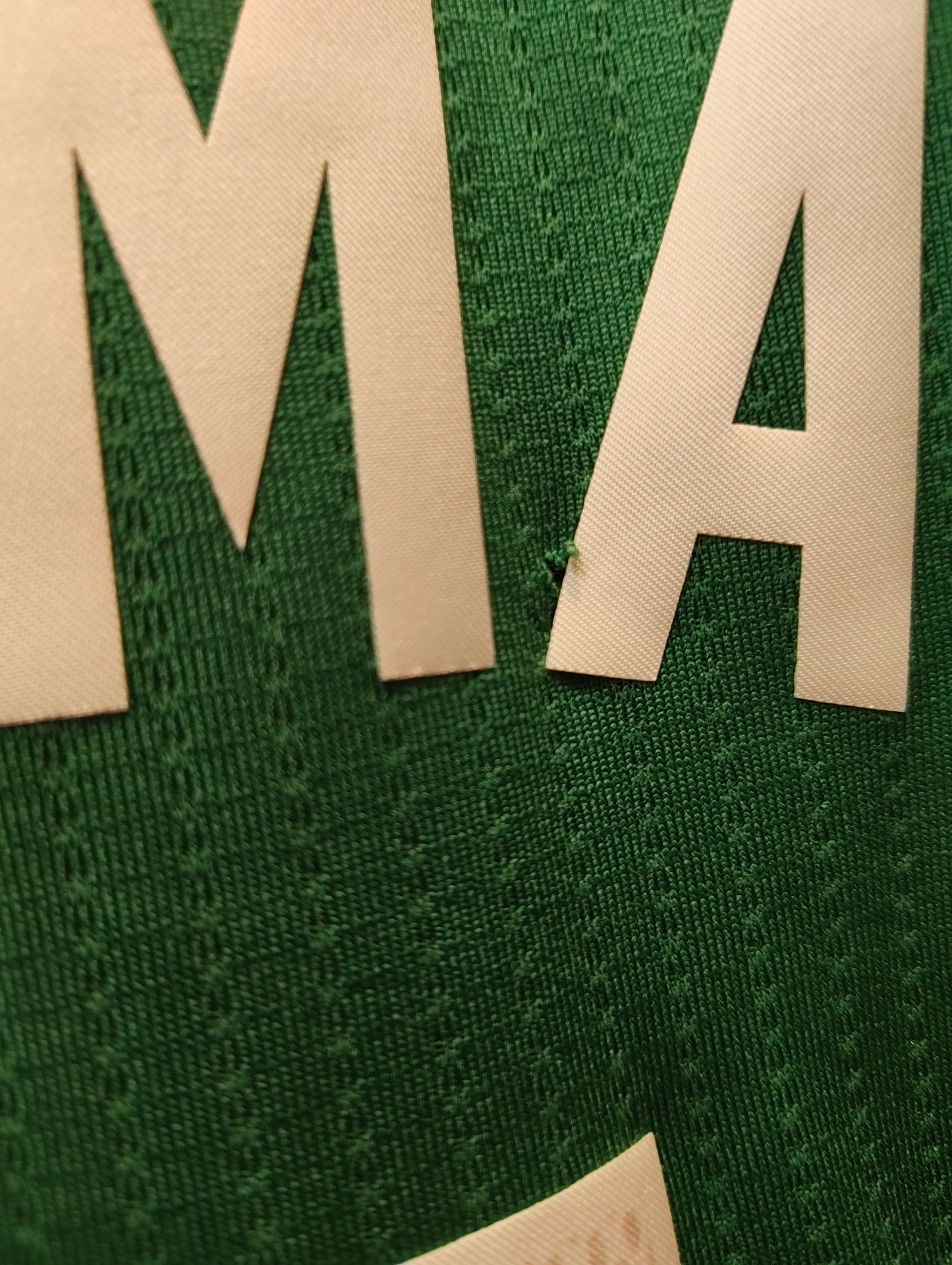 Boston Celtics (L)