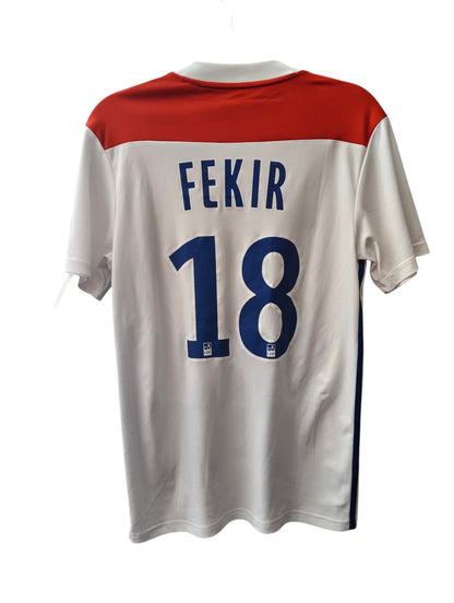OL 2018-2019 (S)