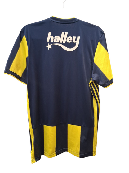 Fenerbahce 2013-2014 (L)