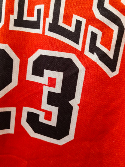 Chicago Bulls (L)