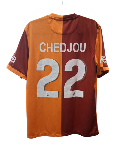 Galatasaray 2013-2014  (L)