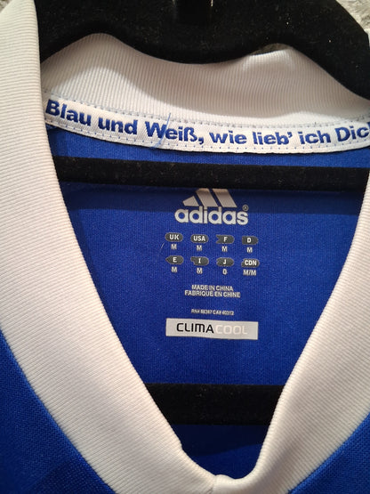 Schalke 2012-2013 (M)